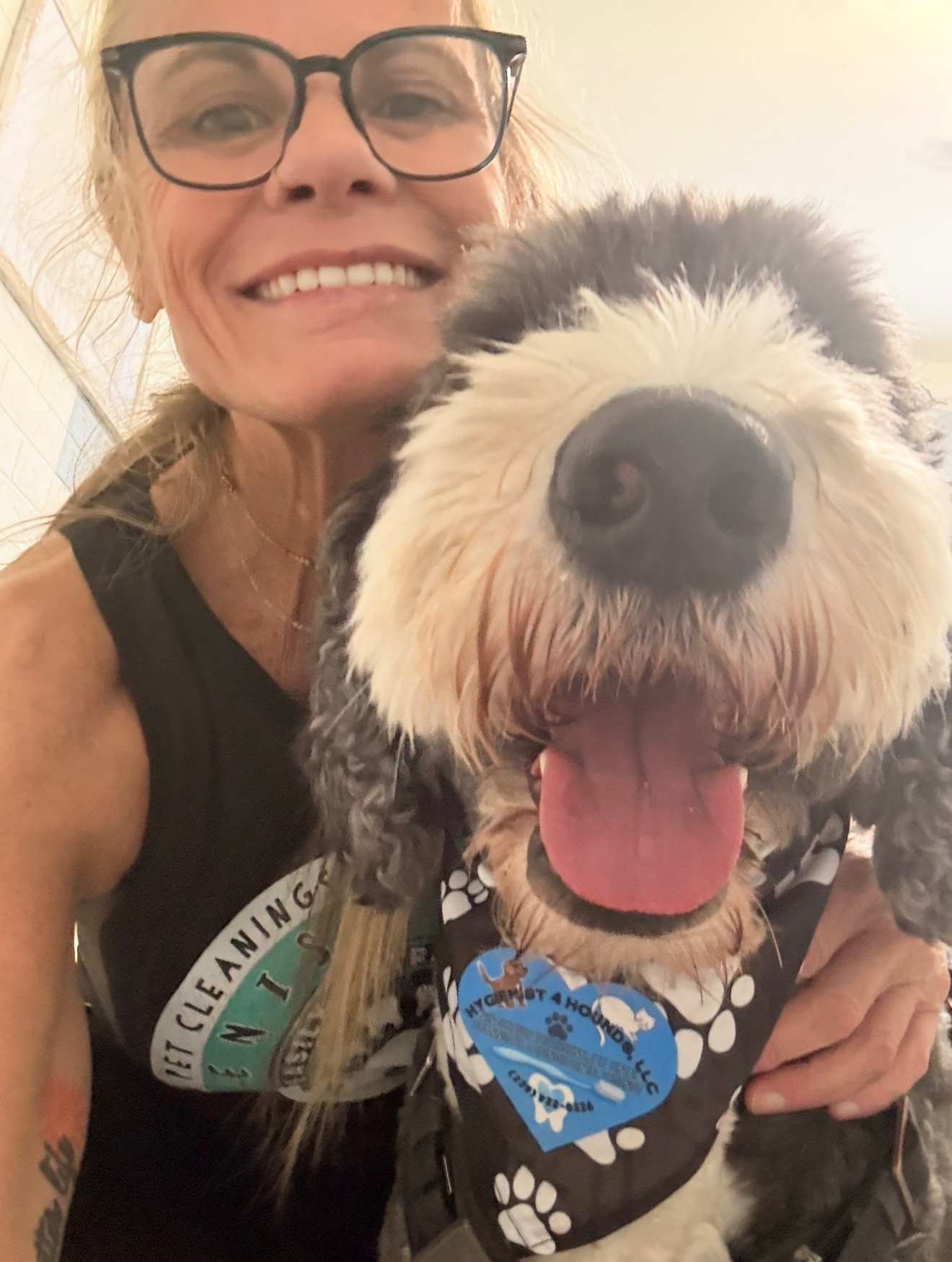 A cheerful poodle dog smiling broadly, showcasing its playful and friendly demeanor.